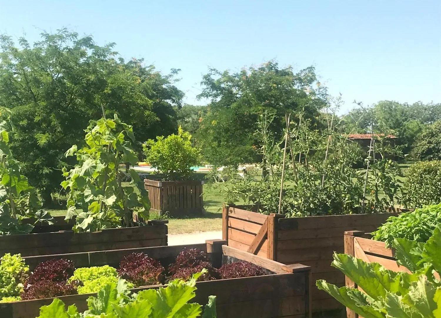 La Foresteria Di Borgogelsi Apartments Sanguinetto Italy